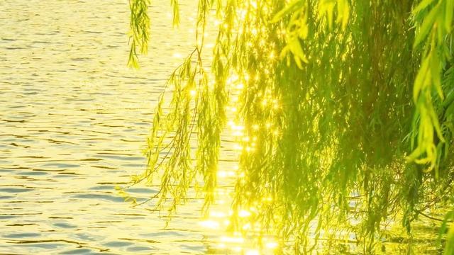 春风十里不如你：最近很火的一段话： “你