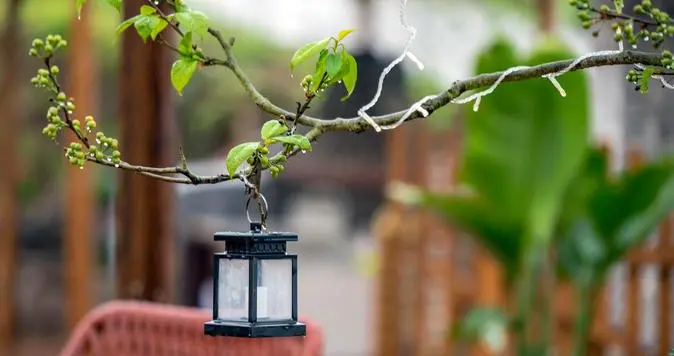 在信息洪流中，找回你被淹没的心跳声