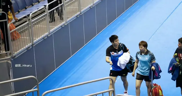 樊振东的旧图新读