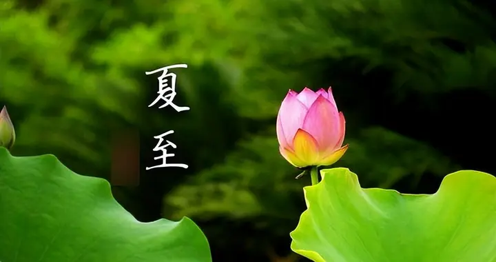 夏至日的人生感悟——彭孙遹《卜算子·夏至日》赏析