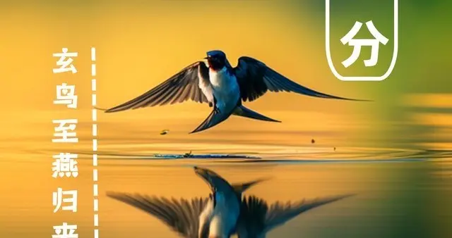 “春分”昼夜等长寒暑相平，草木勃发柳暗花明，别忘了这些农事