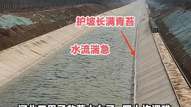 眀天下雨来聊天：沟渠有必要修得这么规整吗