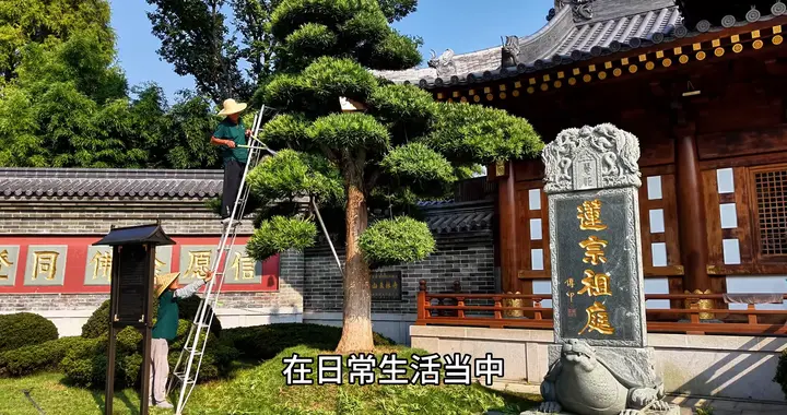 心到乱时须著眼，念从忙处要加鞭