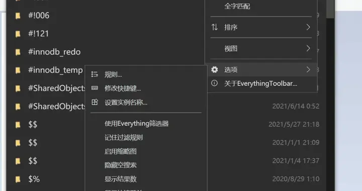 一款让Everything更如虎添翼的开源辅助插件！-Everythi...