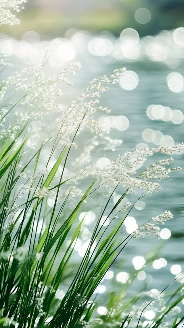 时光落落为安，只记喜欢不记忧