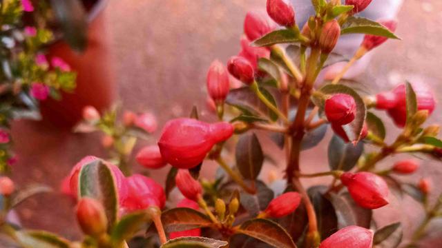 优美漂流瓶阳阳：我