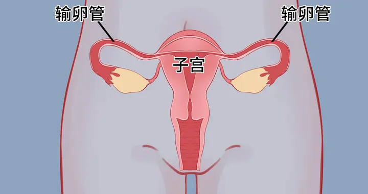 子宫不健康的女人，身上会出现4种“异常”，别硬撑到宫颈癌