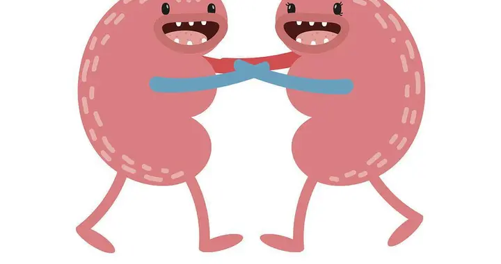 怎样能预防肾脏病的发生？