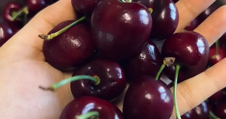 为啥车厘子漂洋1个月不坏？答案藏在这几步