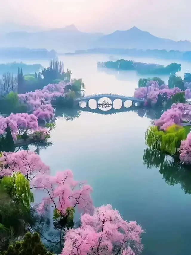 尘世喧嚣，愿你心归宁静，岁月跌宕，愿你心向朝阳