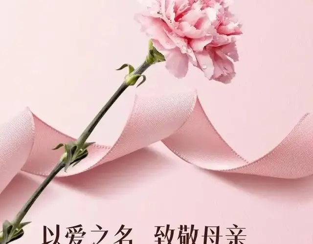 明日母亲节，全网刷屏的孝心，为何填不满妈妈们的孤独？