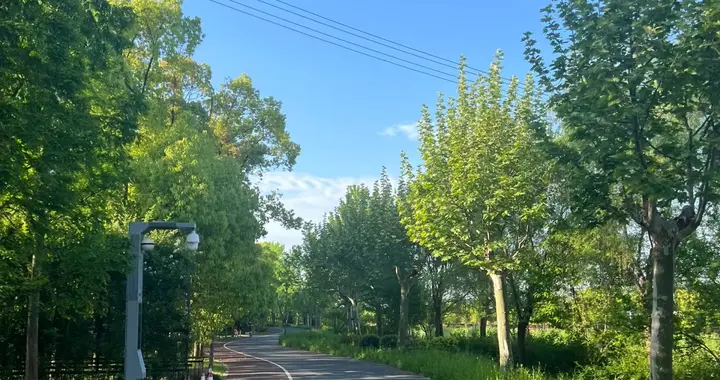 40岁才开始跑步真的太晚了么？可答案会颠覆你的认知