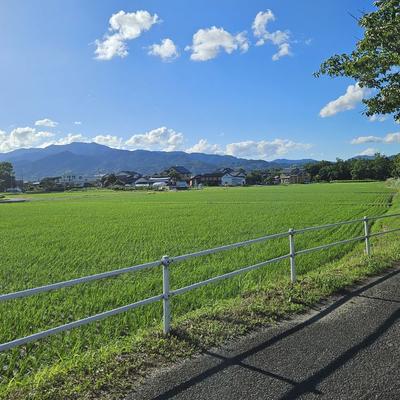 寡人迦叔：日本农村