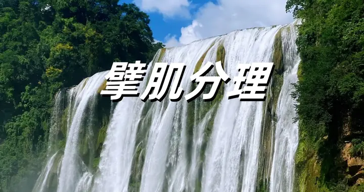 擘肌分理，该怎么读？你读对了吗？