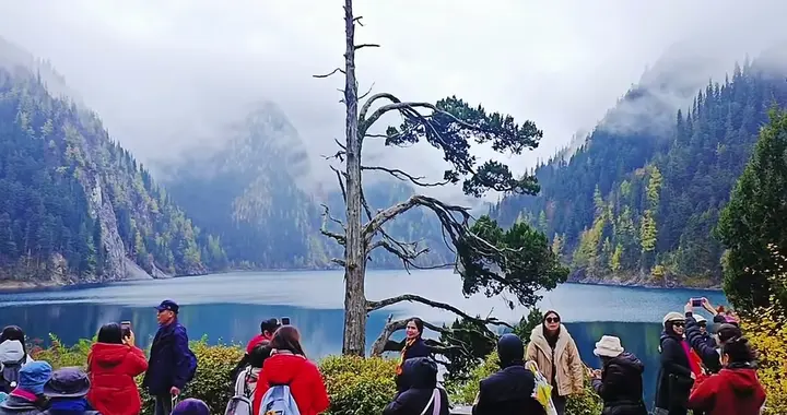 九寨沟年接待破600万！刷屏的不止美景，更是中国人的"守护智慧