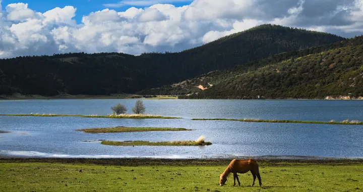 执行力不是听话