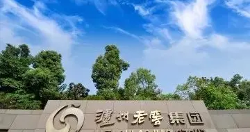 泸州老窖价值投资深度分析：周期底部的高端白酒"隐形冠军"