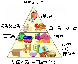 孩子长高关键：营养素的全面补充指南