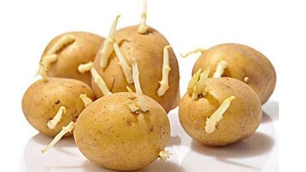 只关心粮食和蔬菜：我家的米面就没有过期这