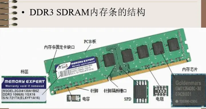 荐知|长鑫拒给苹果降价，一根内存条凭什么硬气