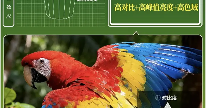 刷遍全网终于懂了！要想看片不将就就得选TCL Q10M系列