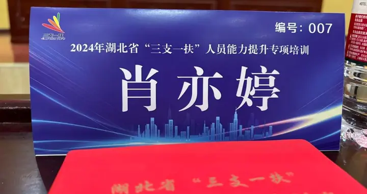 武汉商贸职业学院：校园到基层！她以奋斗赴山海，以实干赴前程！