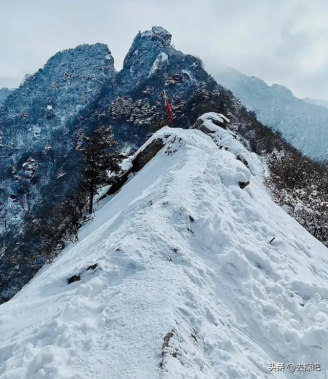 秦岭徒步攻略：跨越南北分界线的四季感官盛宴