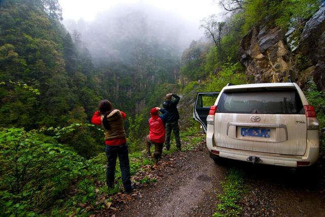 我驾驶“进藏神车”丰田普拉多，顶风冒雨，勇闯牛背山