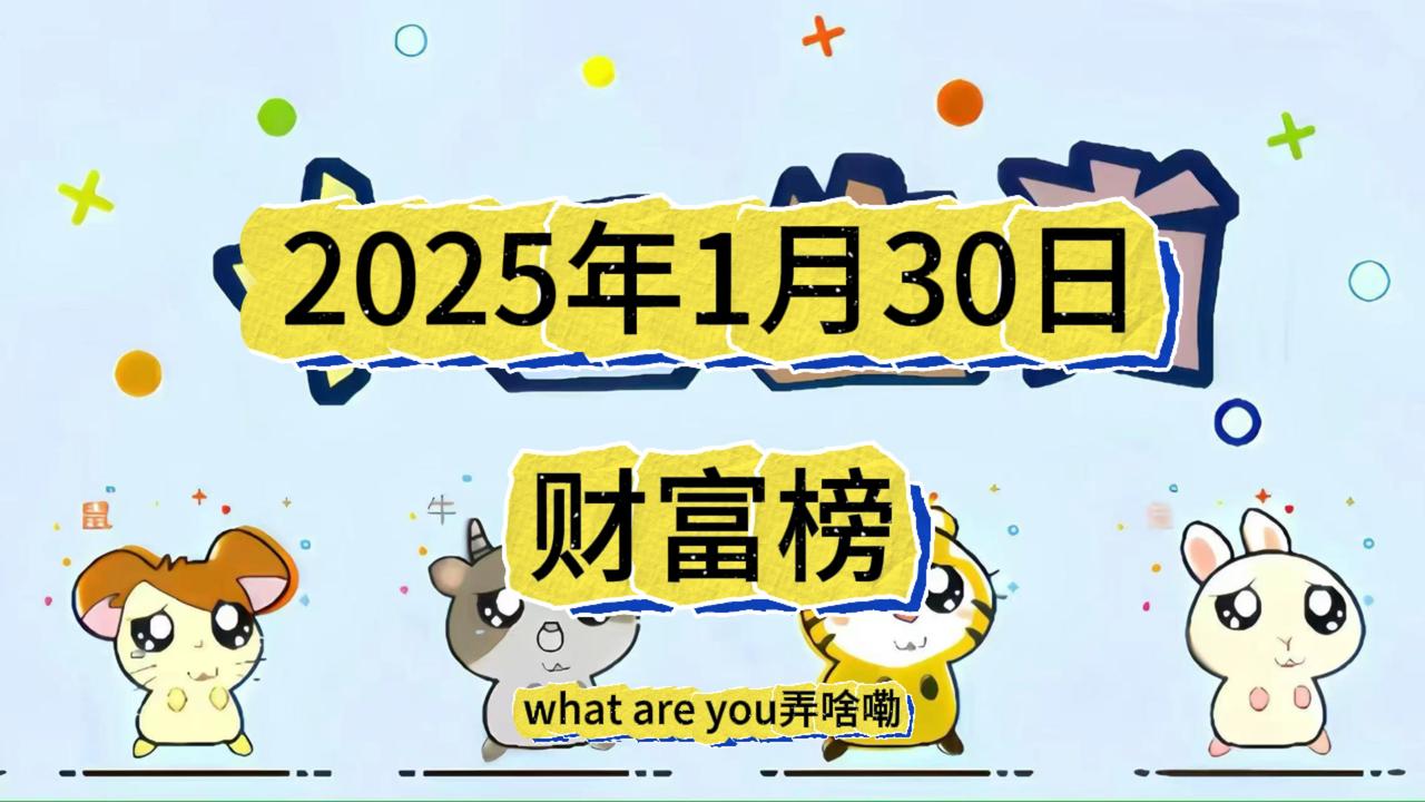 2025年1月30日财富榜