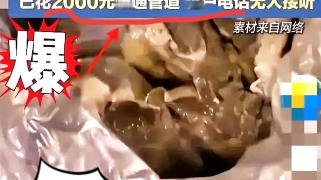 暖阳照草地：郑州这位把房子“打扫干净”再