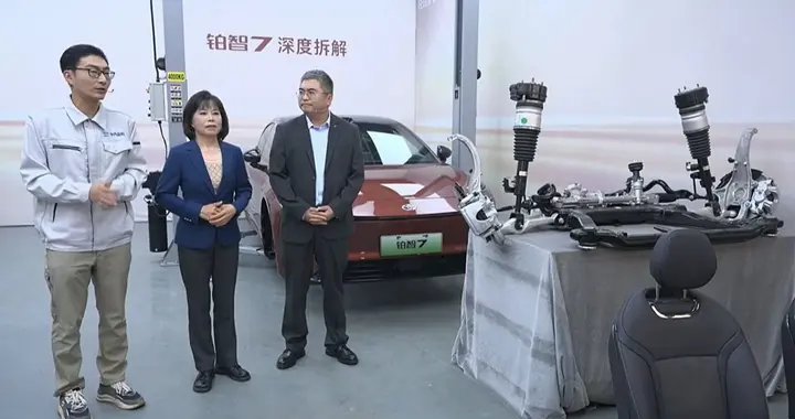 水淹+切割+侧撞！极限测试考验丰田铂智7