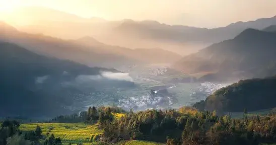 关系再好，去别人家做客时，也不要带这3样东西，尤其是第二种