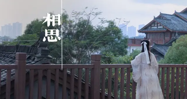 浮世清欢·唯你入梦