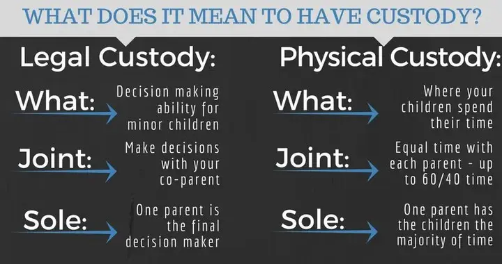 英语高级词汇：custody