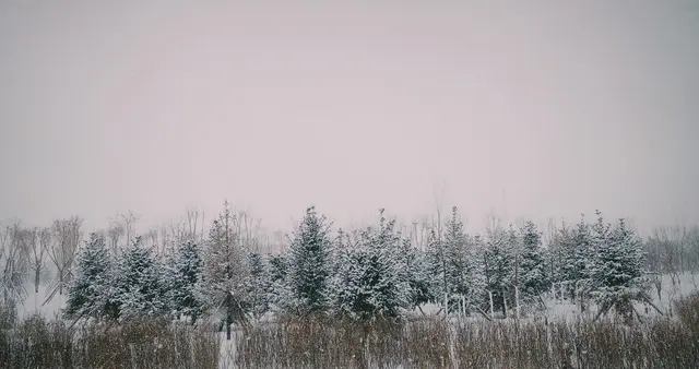 今冬最大范围降雪来袭