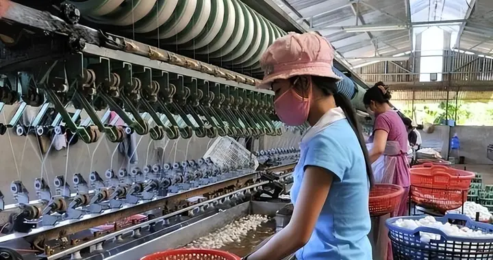 谁抢走了订单？外企来越南后才明白，“世界工厂”就是一场美梦