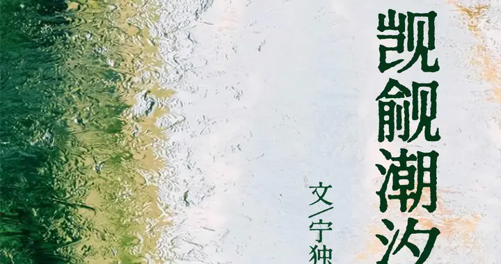 现代豪门言情文——《觊觎潮汐》