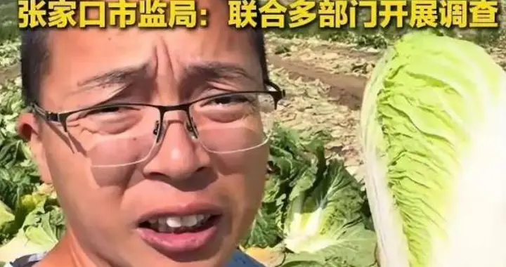 甲醛白菜案 3 人被刑拘！中央政法委发文立新规，舌尖安全从严查处