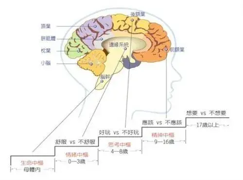 锻炼大脑，开启智慧之门的秘籍