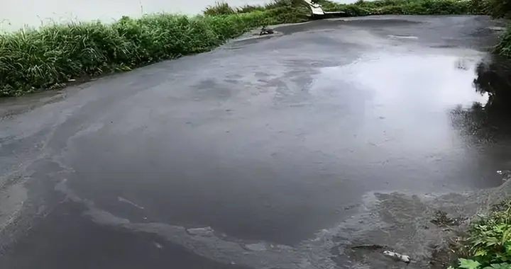 猪场大量未做防渗防溢的污水池运用微生物技术可低成本快速处理