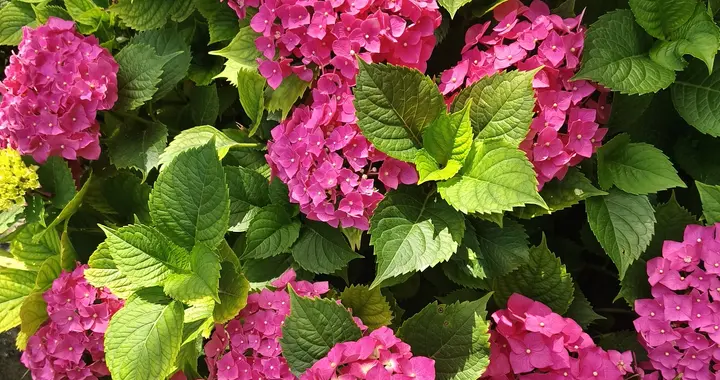 22点41分，哈密市实时温度41度。很多人以为天黑了就能凉下来，结果一...