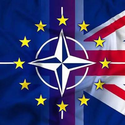 九号探秘人：本月中旬，北约30个成员国