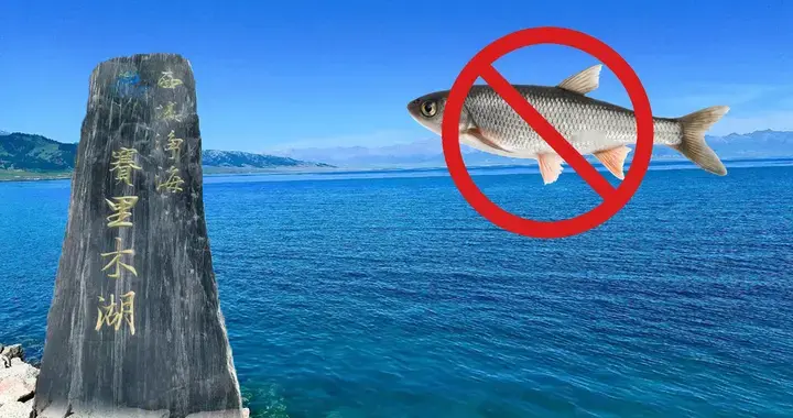 诞生7000万年！450平方公里的新疆赛里木湖，为何没有原生鱼？