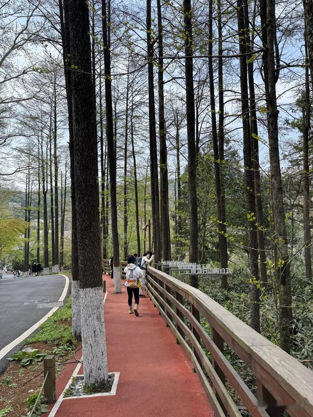 马斯克的自由贸易立场与特朗普的关税政策冲突