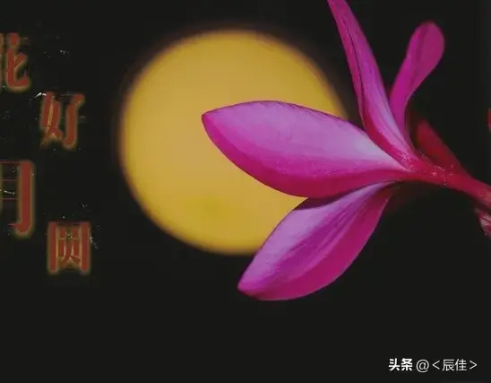 懂“降熵”巧处世，远离讨厌之人的妙招