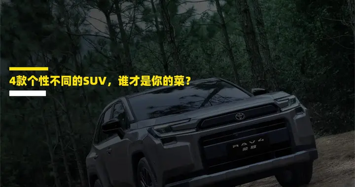 4款个性不同的SUV，谁才是你的菜？