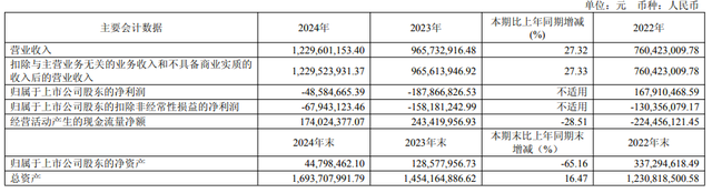 昂立教育2024年营收12.3亿元，同比增长27.32%