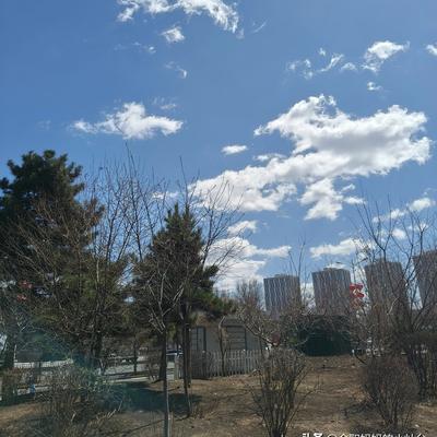 全职妈妈的小灶台：终于迎来好天气了，虽然