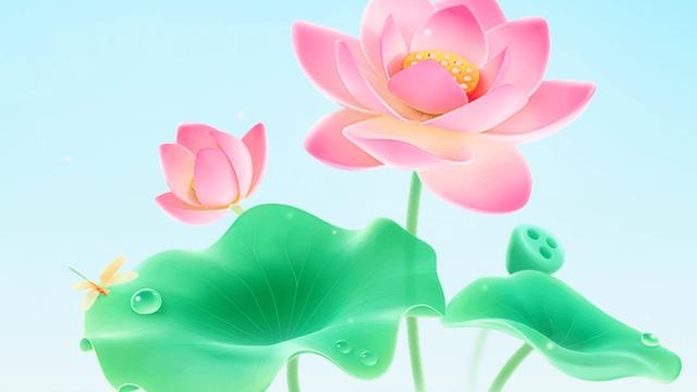 汤姐的大千世界：我和