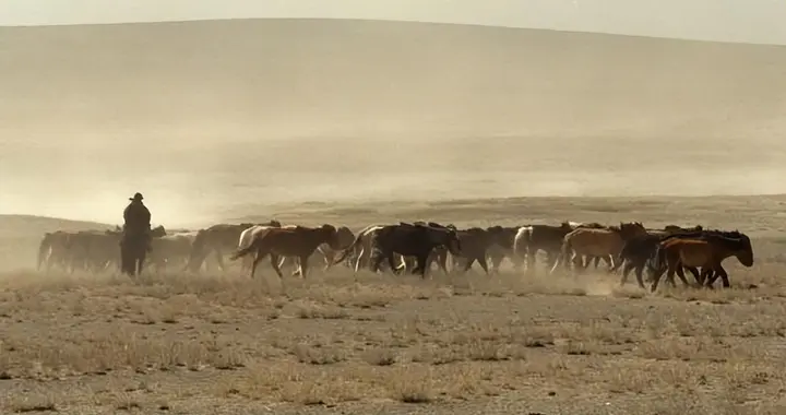 可悲！已经脱离中华百年的外蒙古，正在把中国人40年的努力毁掉！